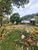 Terreno, 252 m² - Foto 3