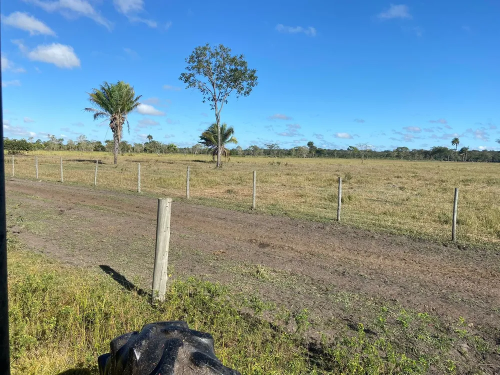 Fazenda, 3 quartos - Foto 7