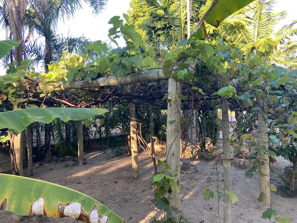Fazenda, 3 quartos - Foto 9