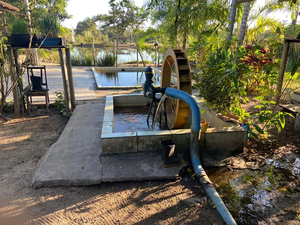 Fazenda, 3 quartos - Foto 4