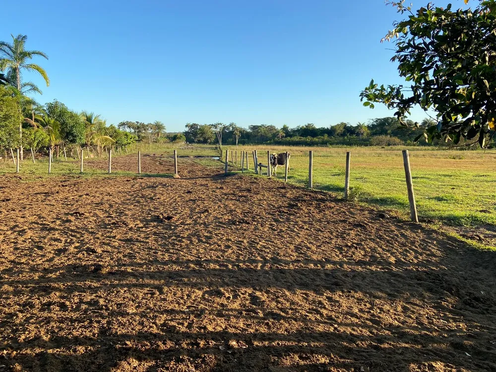 Fazenda, 3 quartos - Foto 3