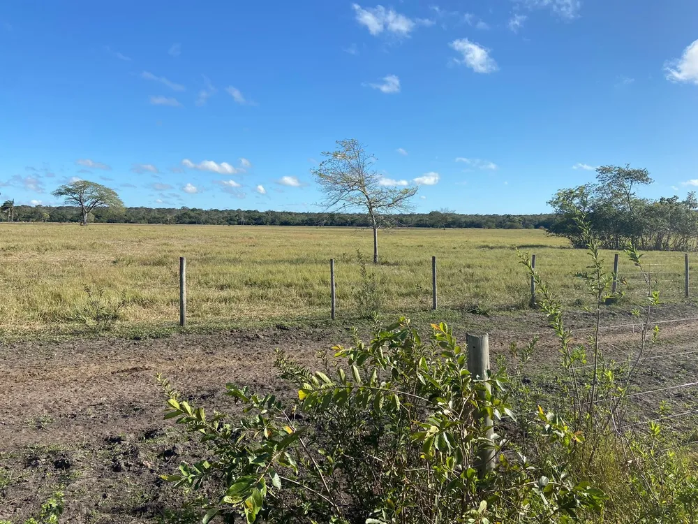 Fazenda, 3 quartos - Foto 8