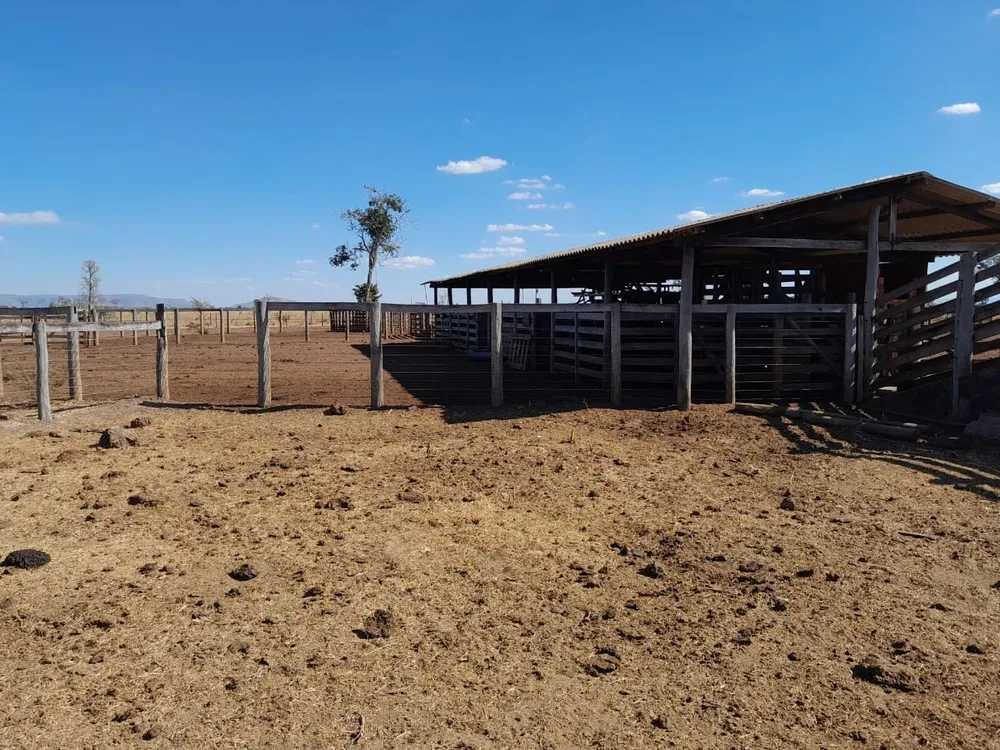 Fazenda - Foto 12