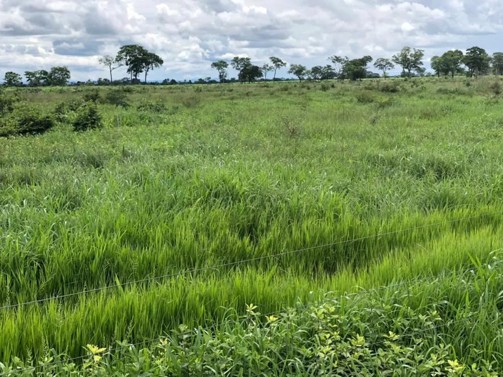 Fazenda à venda, 10400m² - Foto 4