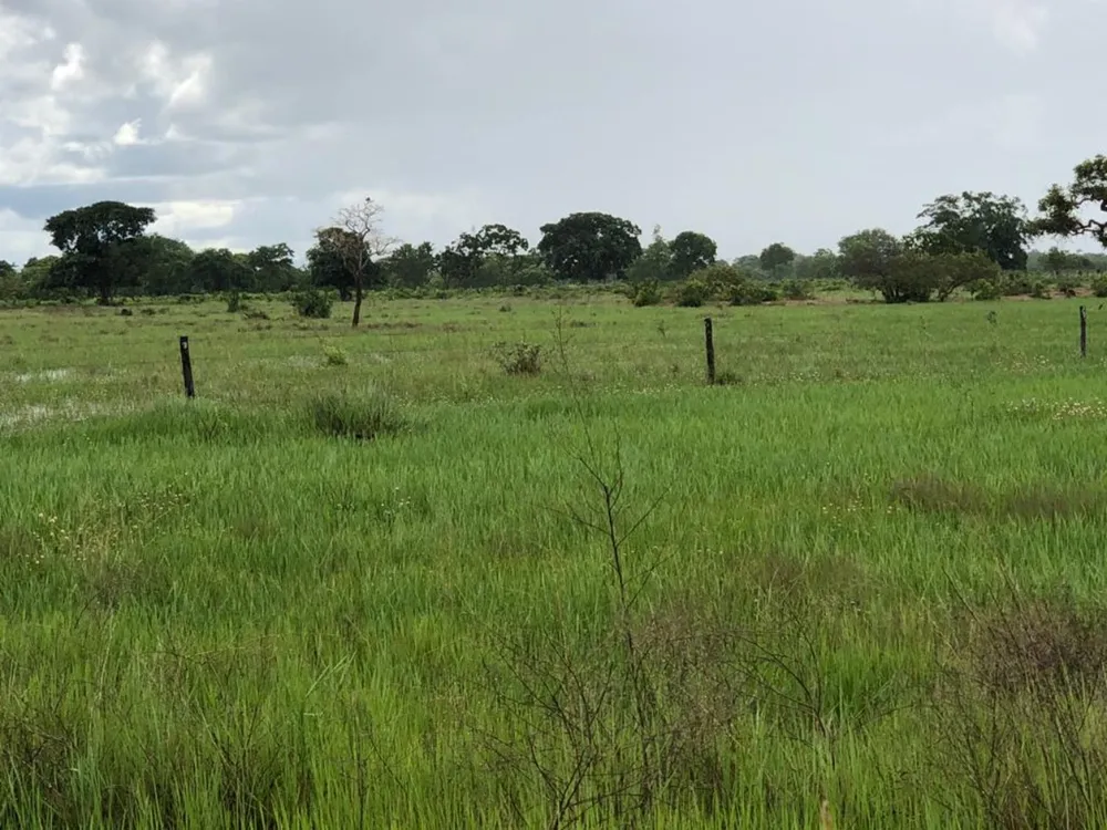 Fazenda - Foto 10