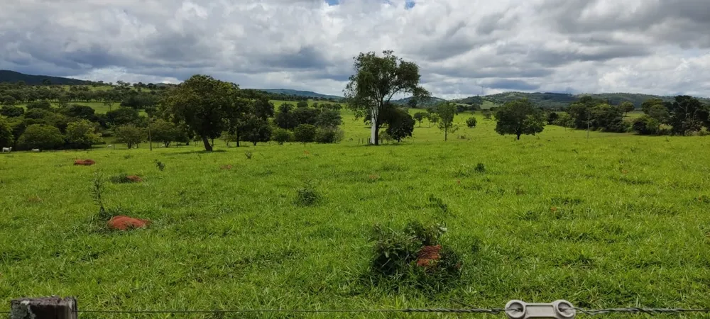 Fazenda, 72 m² - Foto 4