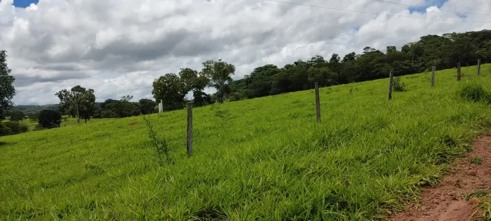 Fazenda, 72 m² - Foto 3