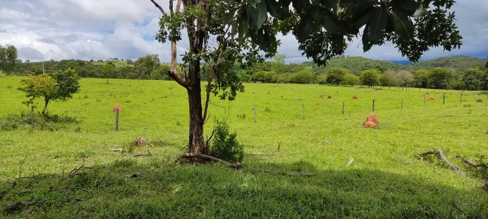 Fazenda, 72 m² - Foto 6