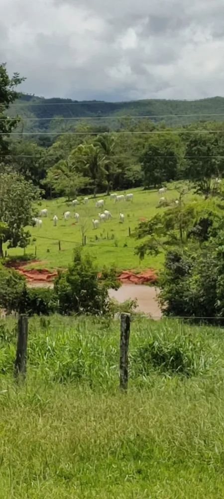 Fazenda, 72 m² - Foto 7