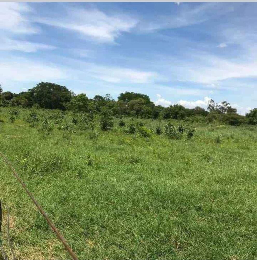 Fazenda à venda - Foto 3