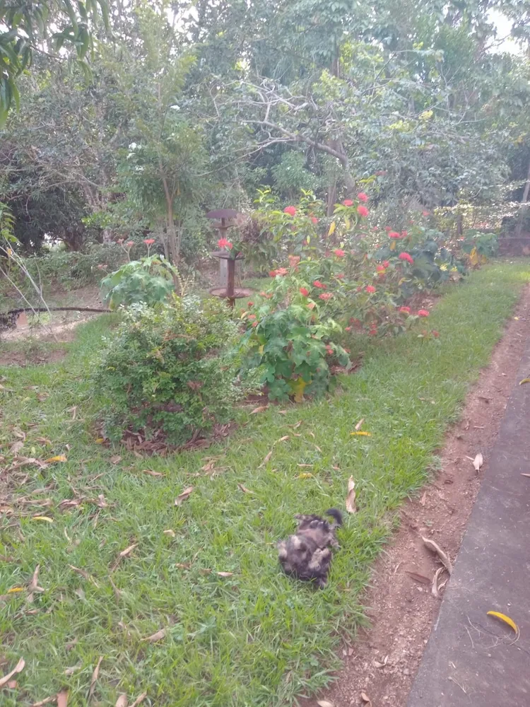 Fazenda, 314 m² - Foto 7