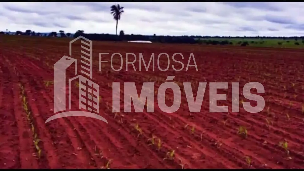 Fazenda, 2354 m² - Foto 5