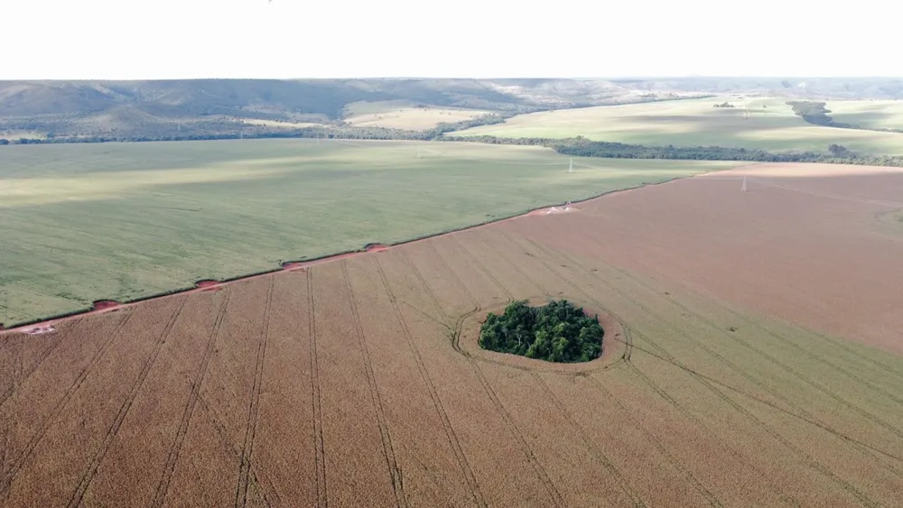 Fazenda, 1470 m² - Foto 1