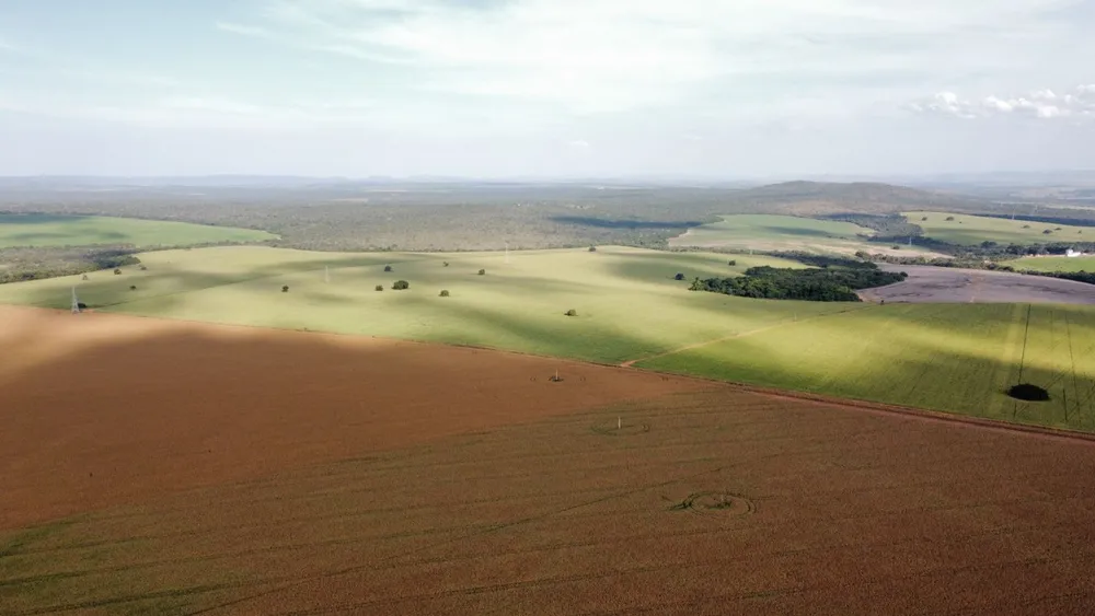 Fazenda, 1470 m² - Foto 5