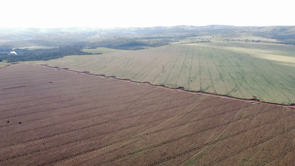 Fazenda, 1470 m² - Foto 10