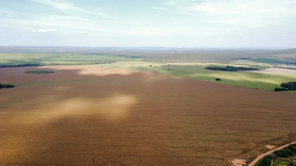 Fazenda, 1470 m² - Foto 3