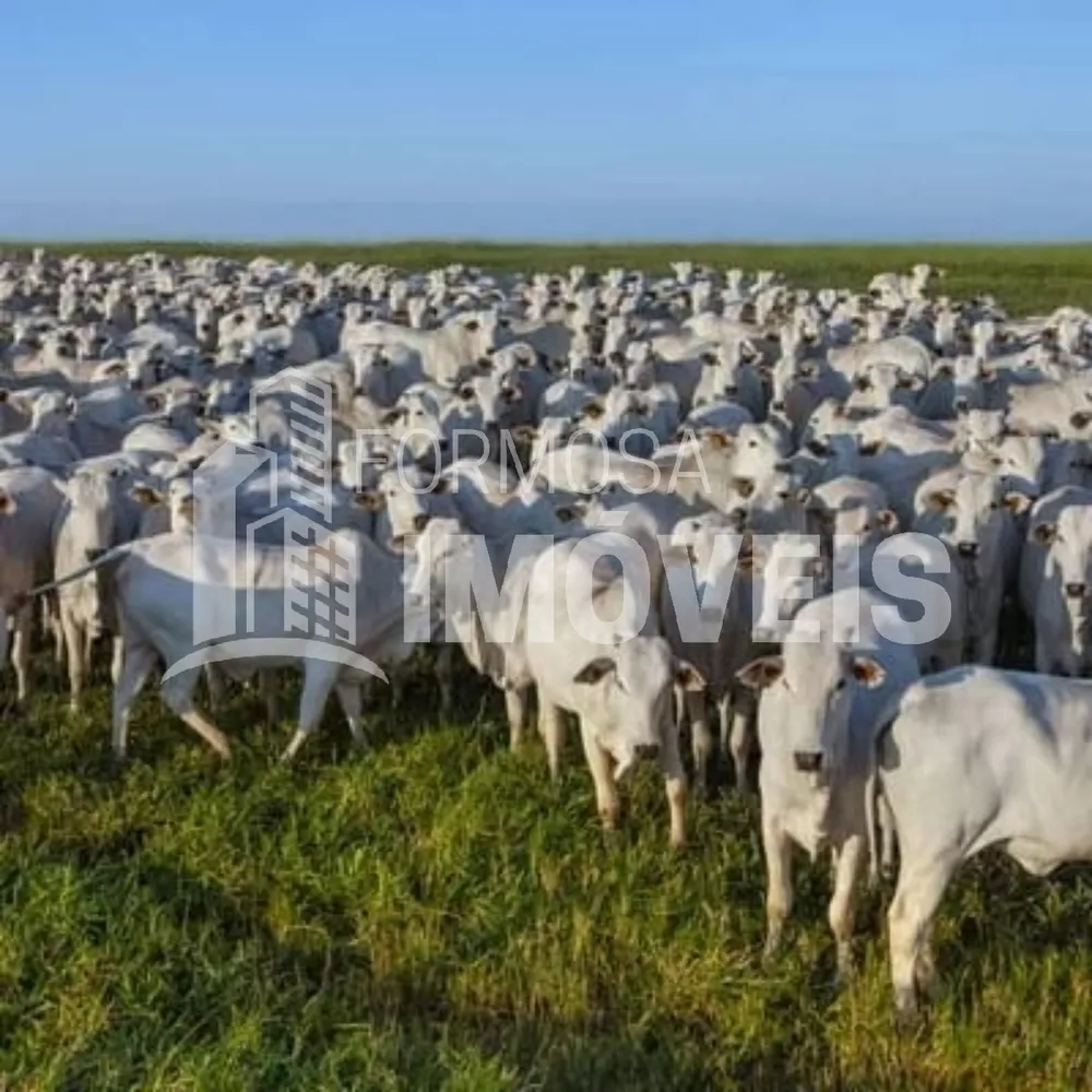 Fazenda à venda, 6000m² - Foto 6