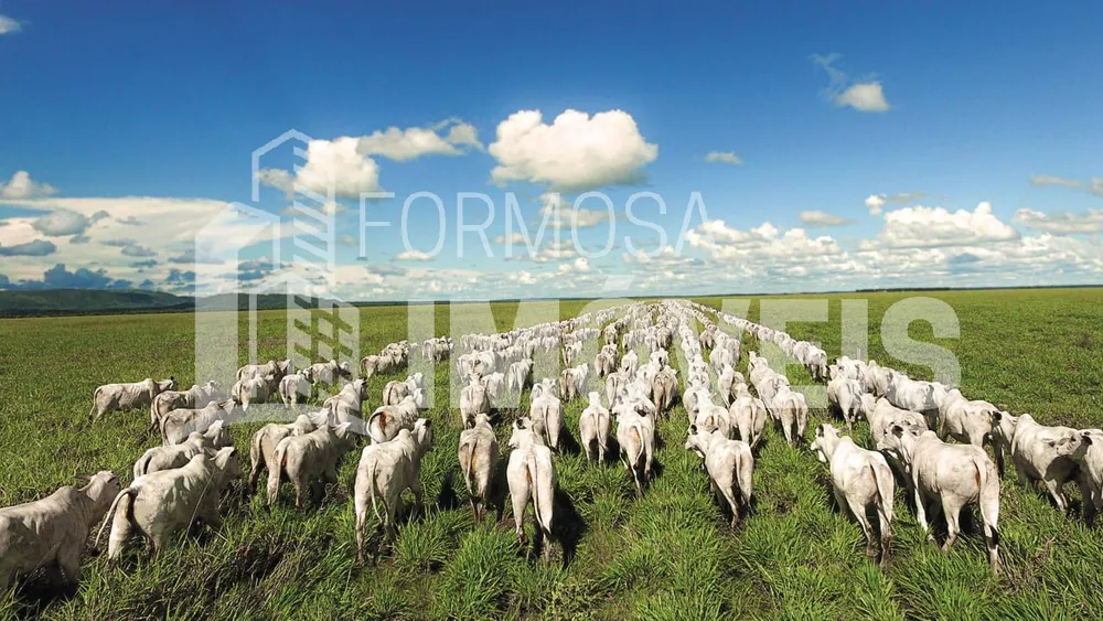 Fazenda à venda, 6000m² - Foto 12