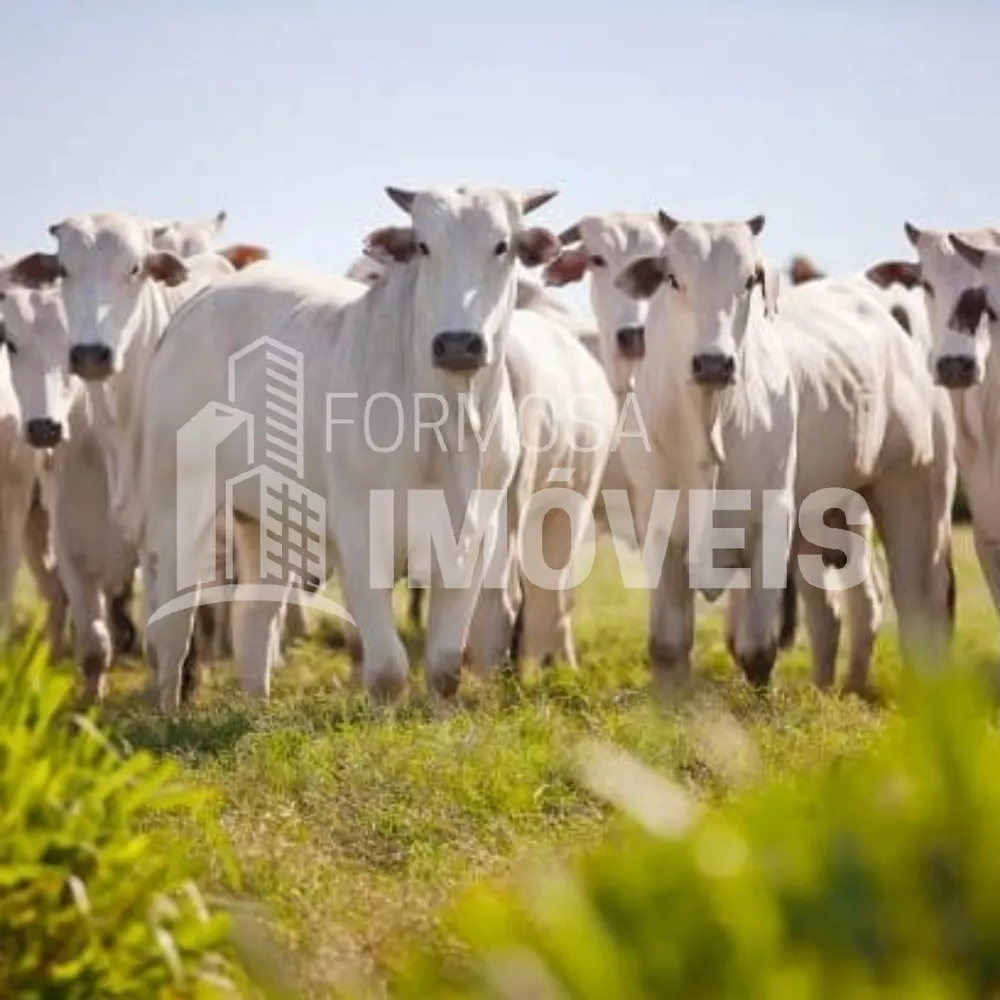 Fazenda à venda, 6000m² - Foto 2