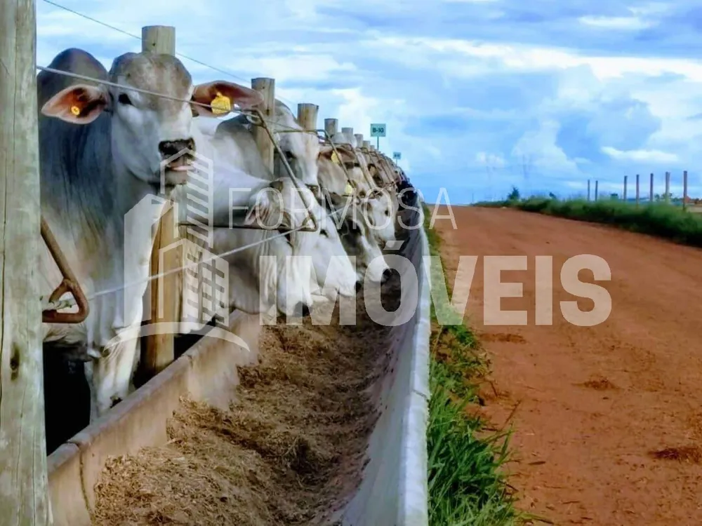 Fazenda, 6000 m² - Foto 10
