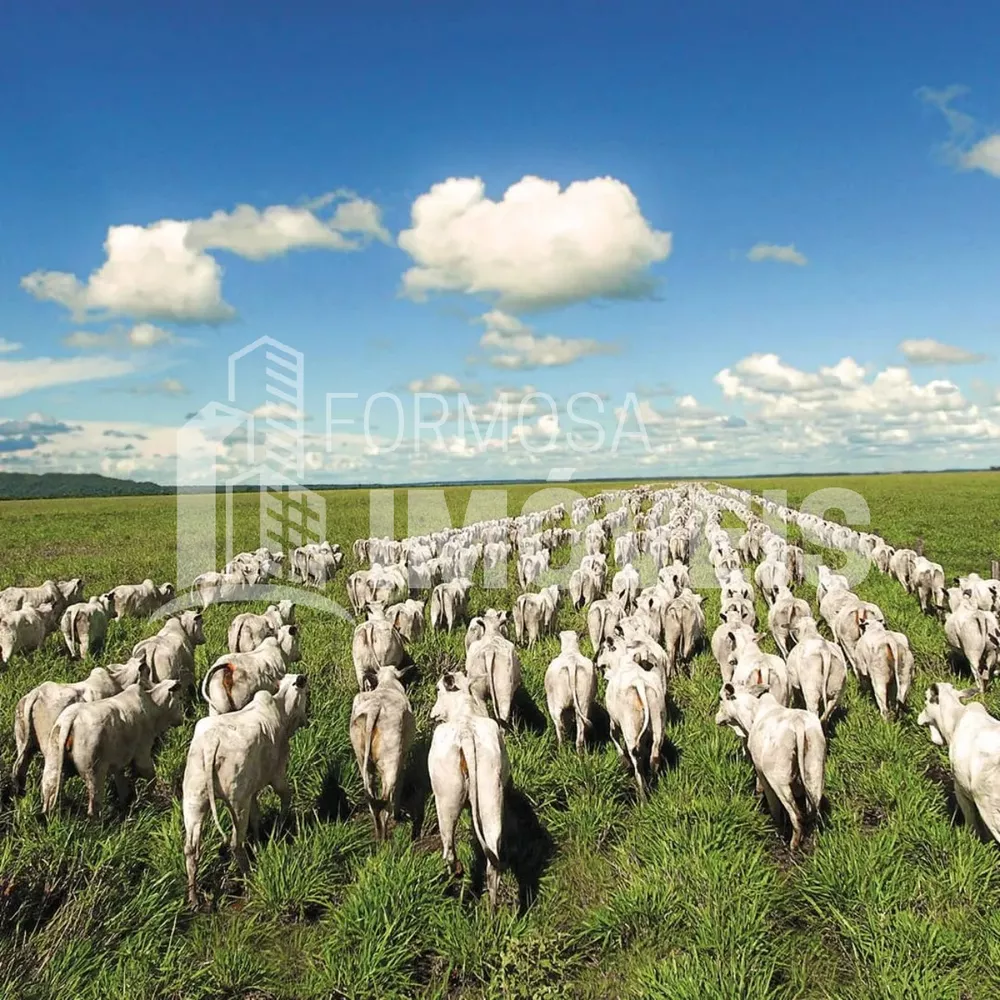 Fazenda à venda, 6000m² - Foto 5