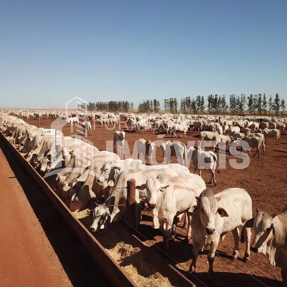 Fazenda à venda, 6000m² - Foto 3