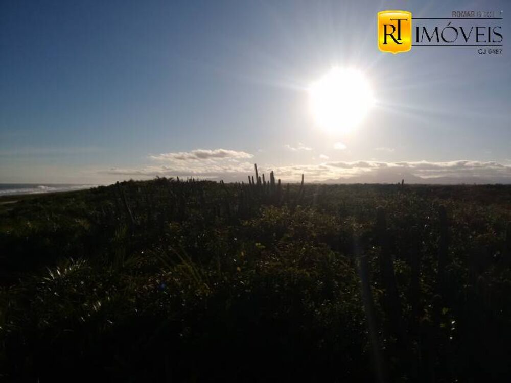 Terreno, 150 hectares - Foto 2