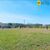 Sítio, 5 quartos, 5 hectares - Foto 12