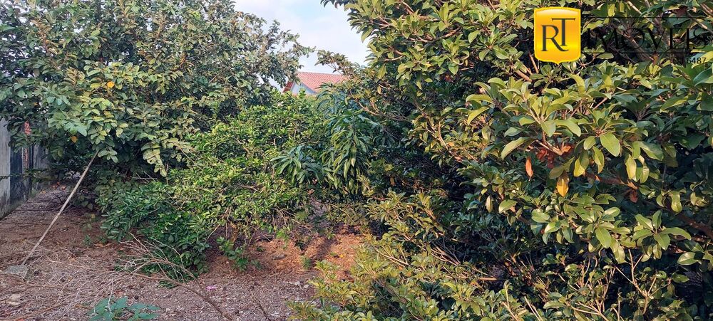 Terreno à venda, 360m² - Foto 3
