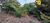 Terreno, 360 m² - Foto 2