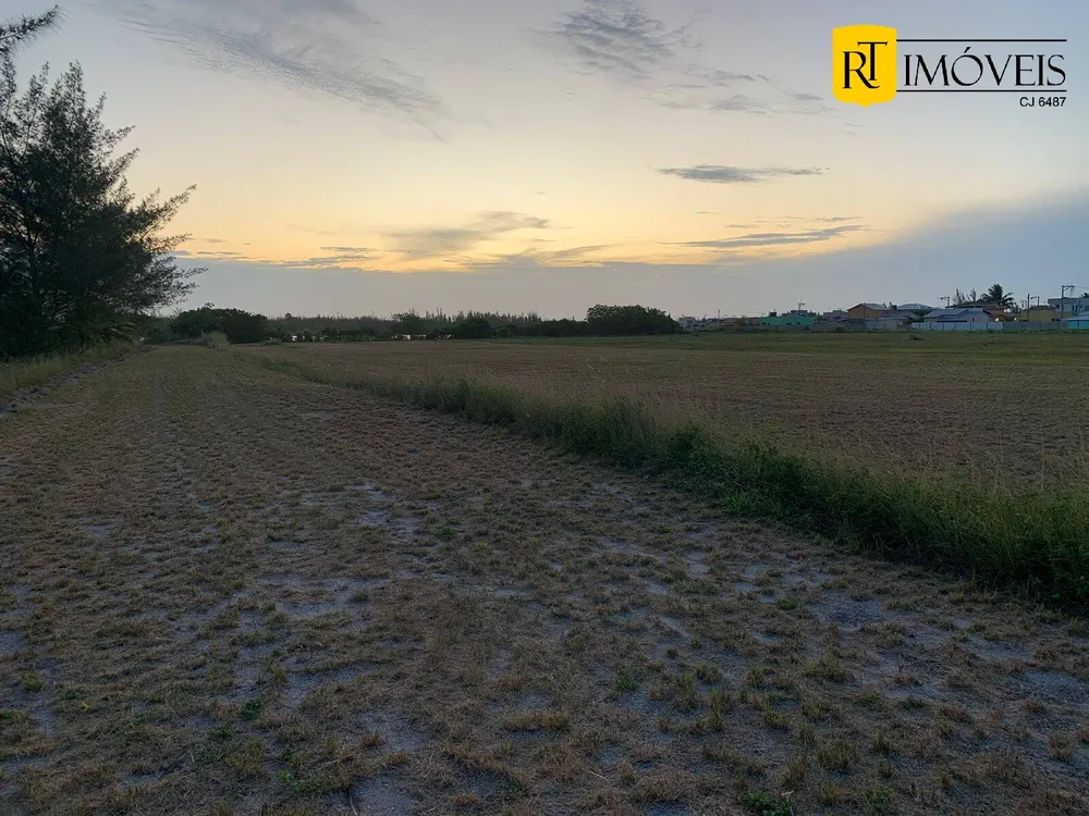 Terreno, 4 hectares - Foto 4