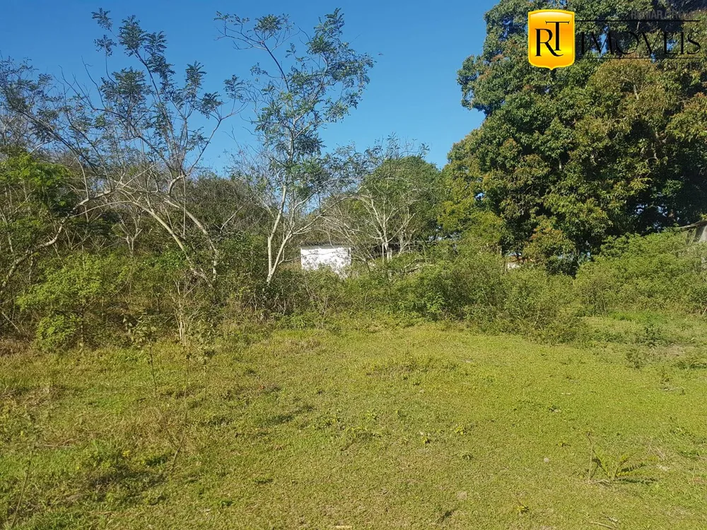 Terreno, 3 hectares - Foto 9