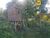 Terreno, 3 hectares - Foto 3