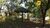 Terreno, 3 hectares - Foto 11