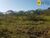 Terreno, 3 hectares - Foto 2
