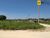 Terreno, 365 m² - Foto 2