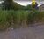 Terreno, 900 m² - Foto 4