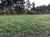 Terreno, 3 hectares - Foto 4