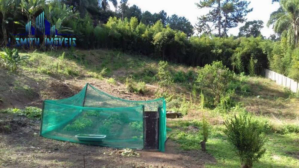 Terreno, 4214 m² - Foto 2