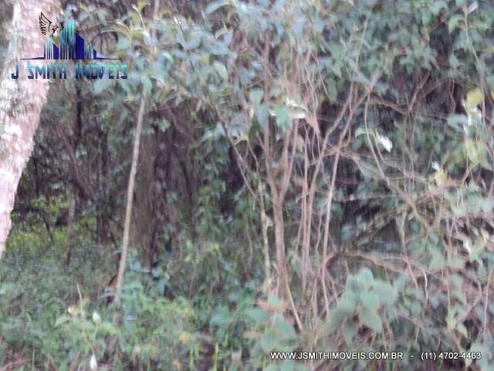 Terreno, 3009 m² - Foto 2