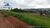 Terreno, 6 hectares - Foto 4