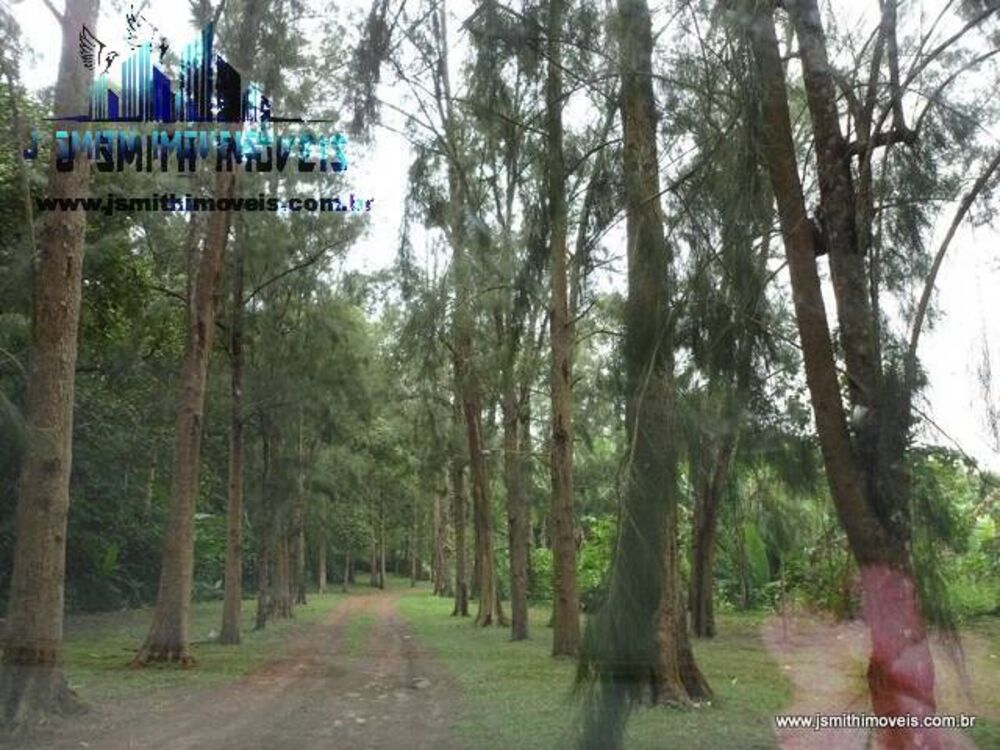 Terreno, 5 hectares - Foto 1