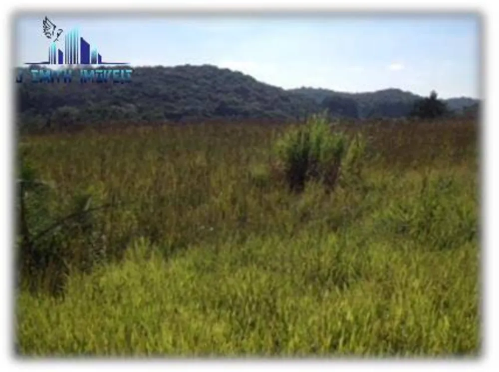 Terreno, 12 hectares - Foto 1