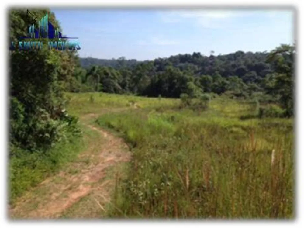 Terreno, 12 hectares - Foto 6