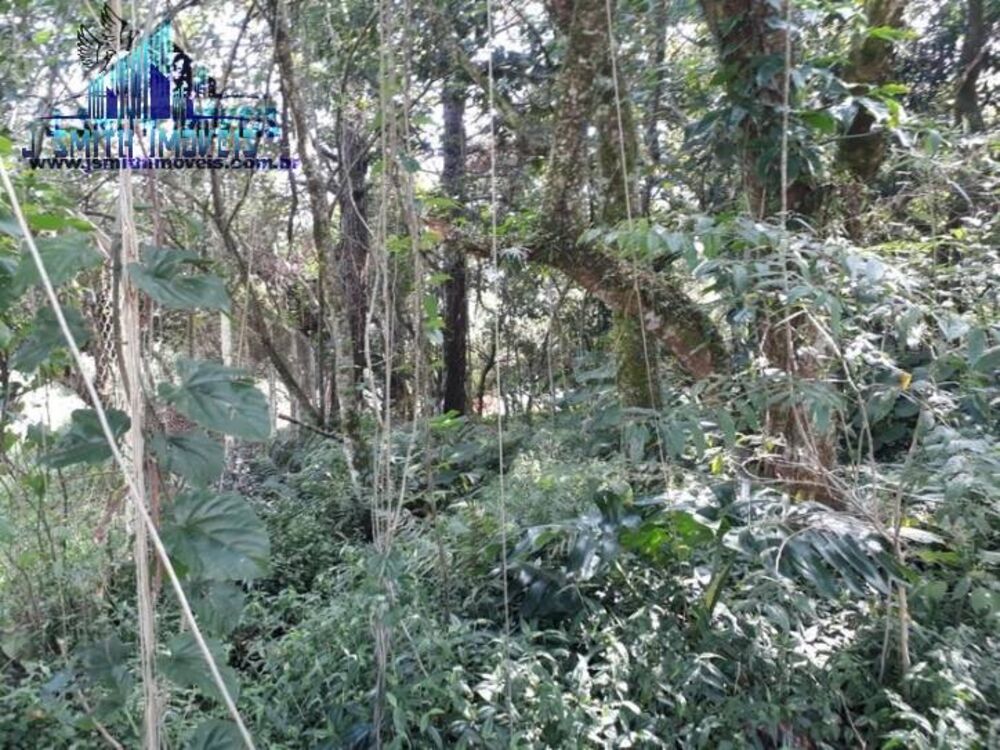 Terreno, 525 m² - Foto 3