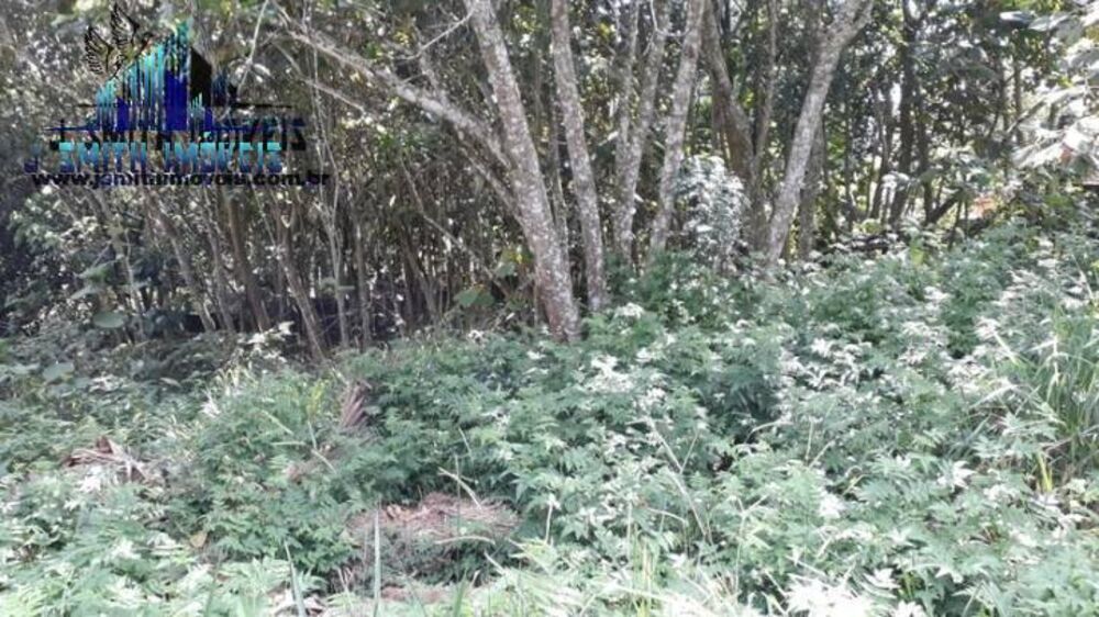 Terreno à venda, 638m² - Foto 2