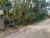 Terreno, 1550 m² - Foto 4