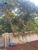 Terreno, 533 m² - Foto 3