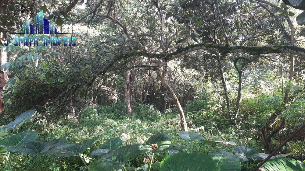 Terreno, 2000 m² - Foto 3