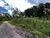 Terreno, 1420 m² - Foto 4
